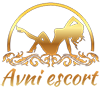 Amritsar Escorts logo